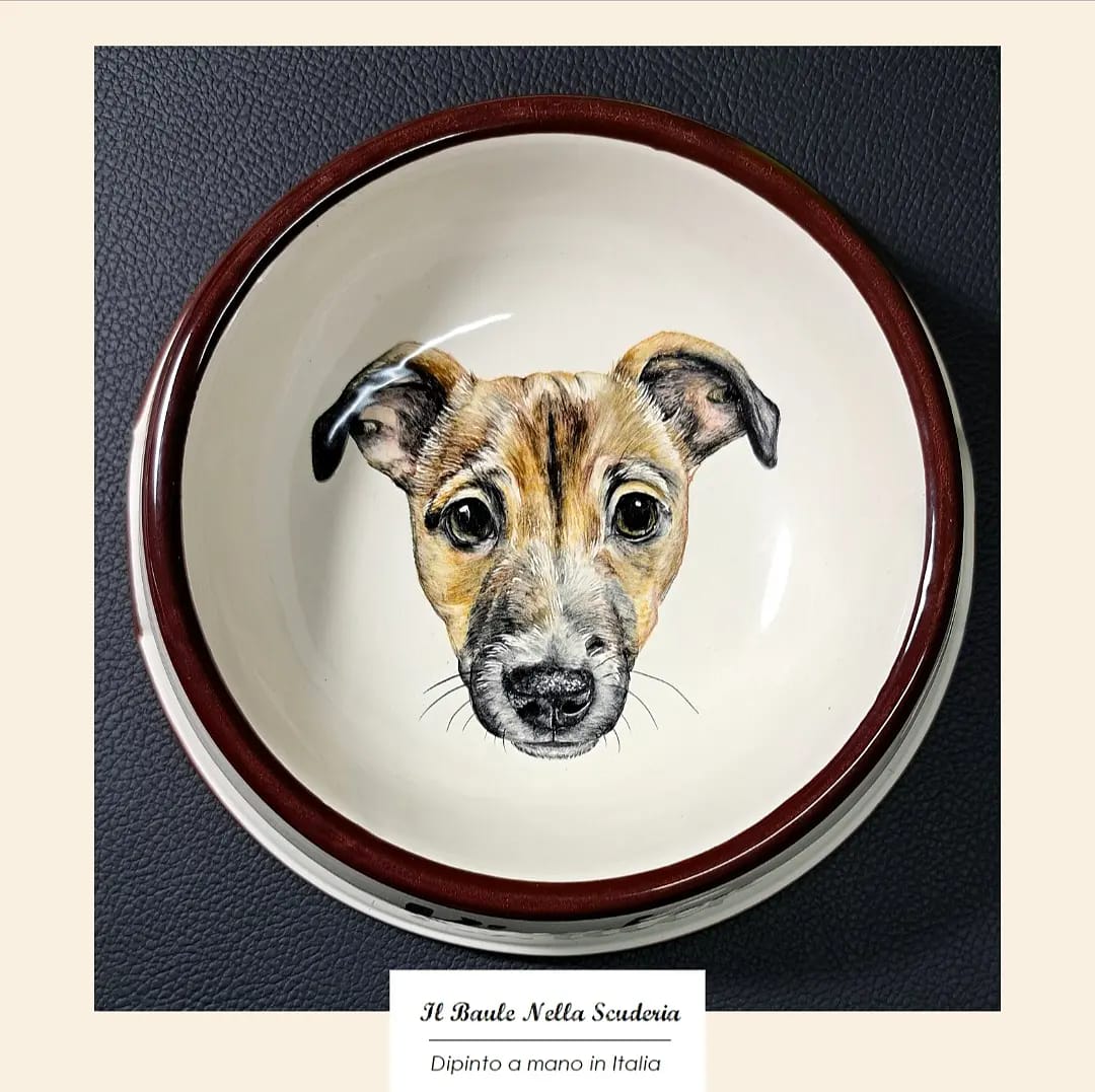 Ciotola per cani