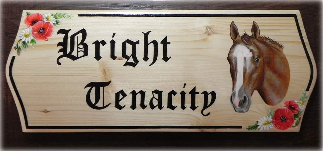 Targhe Personalizzate